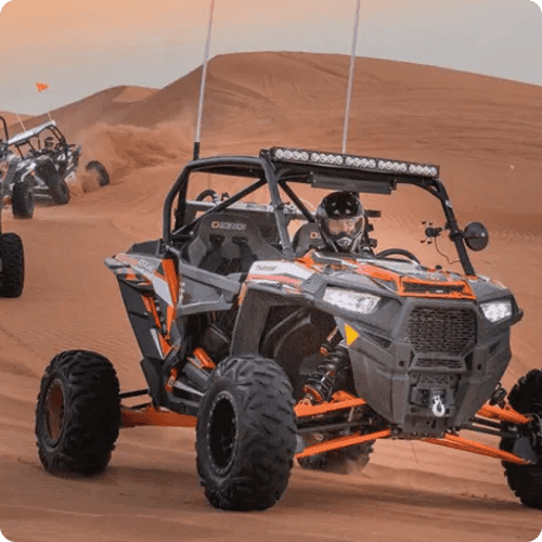 Thrilling desert adventure